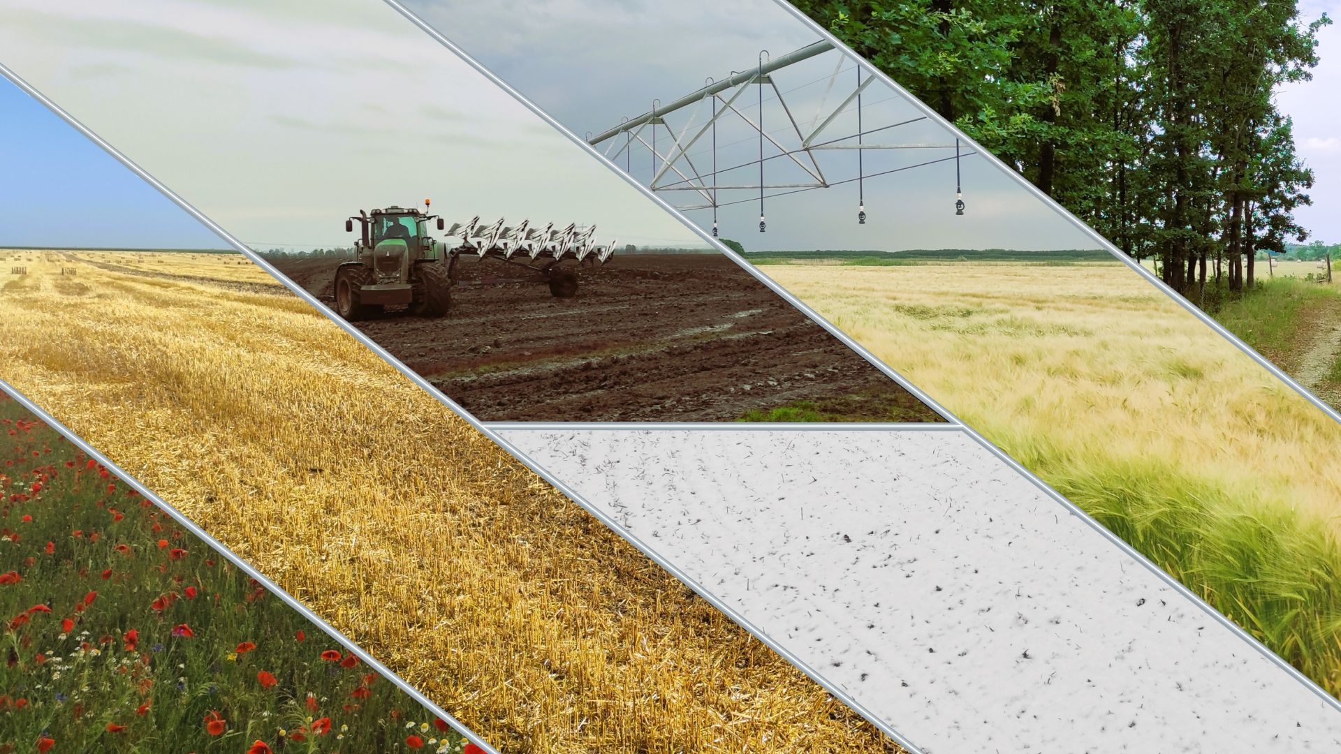 Slider Banner